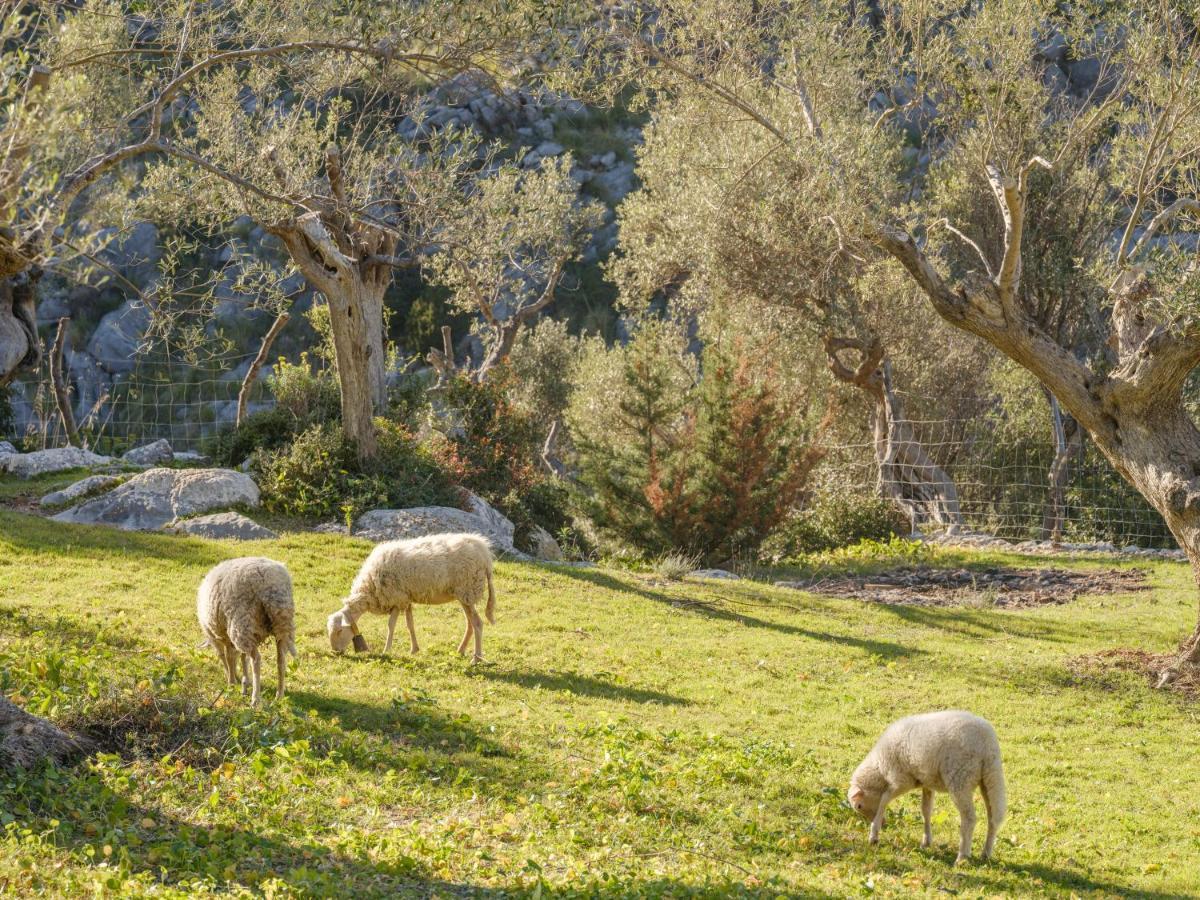 Agroturismo Muleta De Ca S'Hereu Puerto de Sóller Dış mekan fotoğraf
