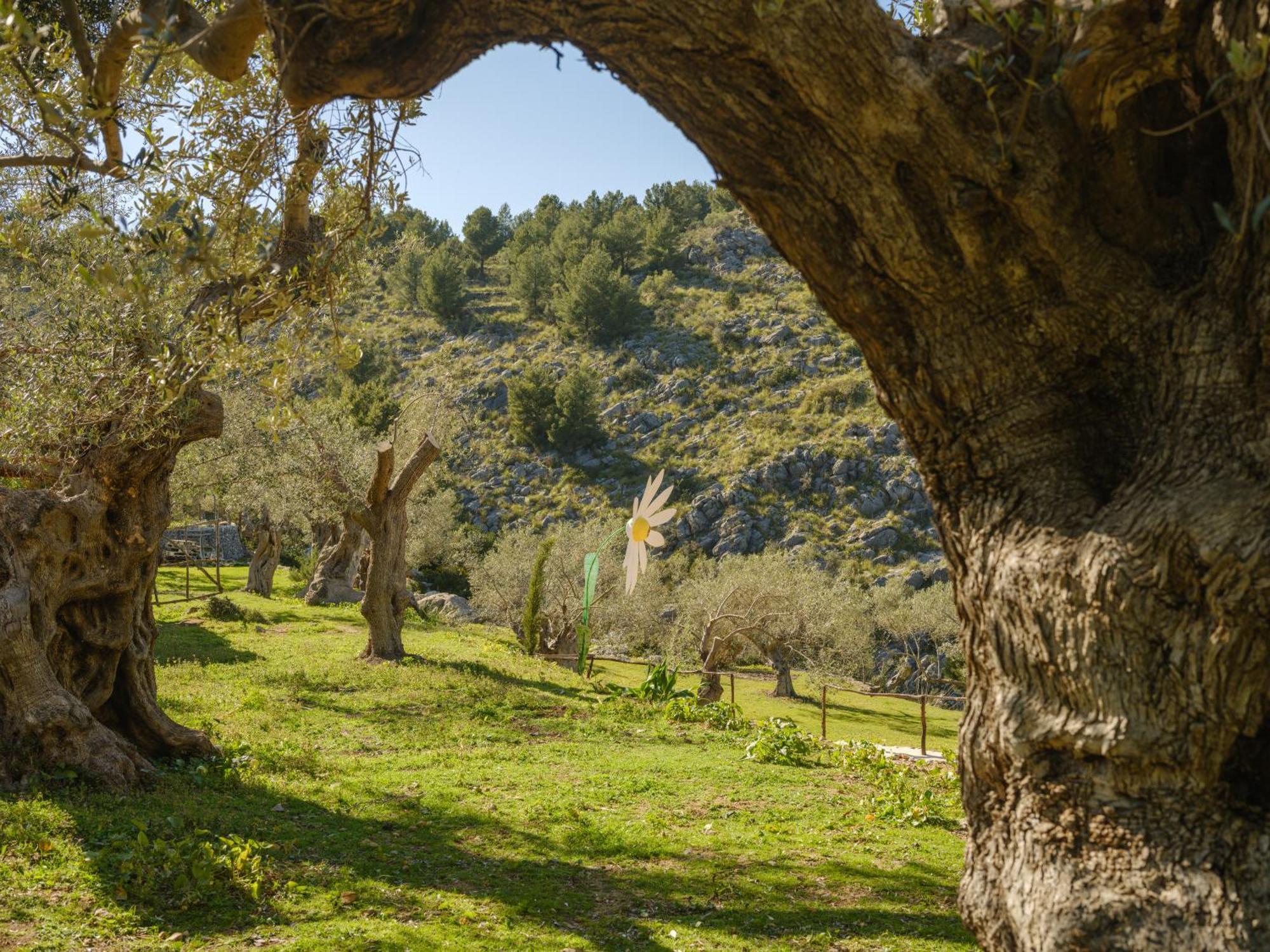 Agroturismo Muleta De Ca S'Hereu Puerto de Sóller Dış mekan fotoğraf